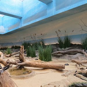 Bird House - Shorebird Aviary