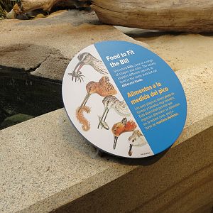 Bird House - Shorebird Aviary