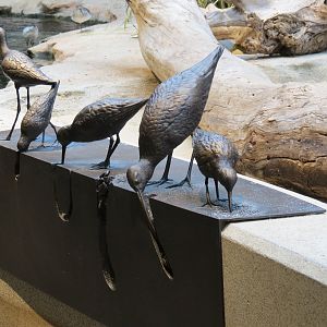 Bird House - Shorebird Aviary