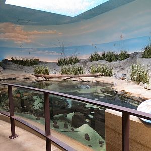 Bird House - Shorebird Aviary