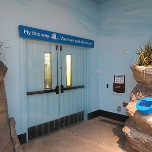 Bird House - Shorebird Aviary - Exit