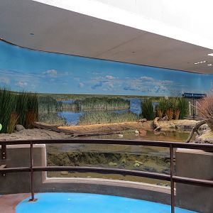 Bird House - Waterfowl Aviary