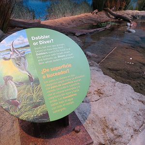 Bird House - Waterfowl Aviary