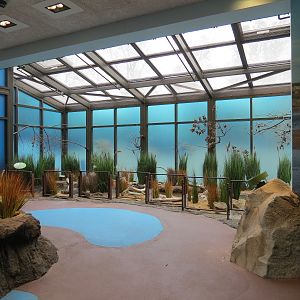 Bird House - Waterfowl Aviary