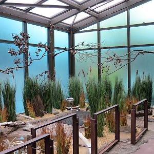 Bird House - Waterfowl Aviary