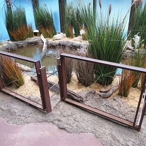 Bird House - Waterfowl Aviary