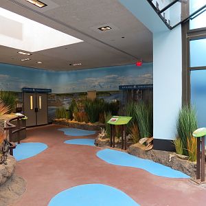 Bird House - Waterfowl Aviary