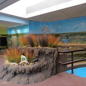 Bird House - Waterfowl Aviary