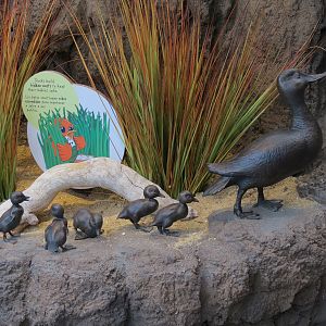 Bird House - Waterfowl Aviary