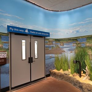 Bird House - Waterfowl Aviary - Exit