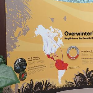 Bird House - Songbird Aviary