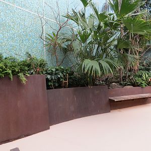 Bird House - Songbird Aviary