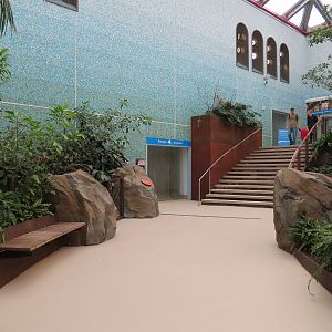 Bird House - Songbird Aviary