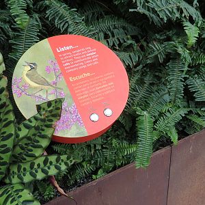 Bird House - Songbird Aviary