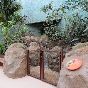 Bird House - Songbird Aviary