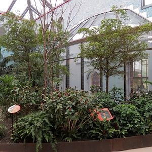 Bird House - Songbird Aviary