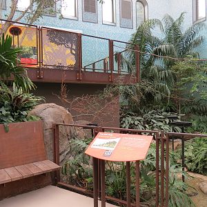 Bird House - Songbird Aviary