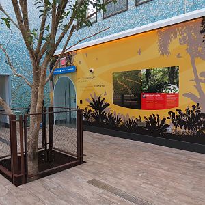 Bird House - Songbird Aviary