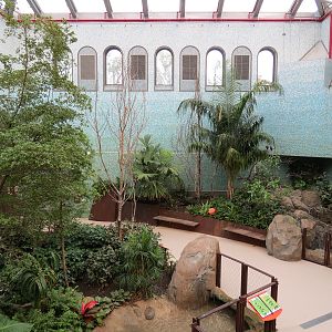 Bird House - Songbird Aviary