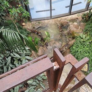 Bird House - Songbird Aviary