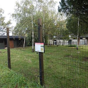 Chinese water deer enclosure