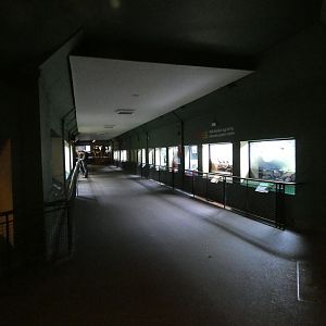 View in reptile house