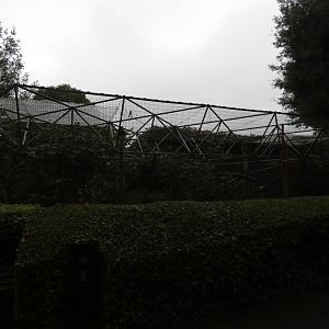 Black-capped squirrel monkey enclosure