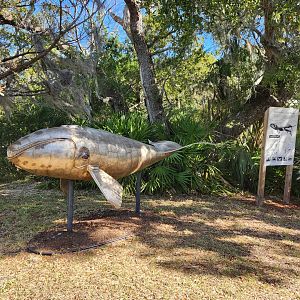 Tidelands Nature Center - The Metal Whale