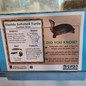 Tidelands Nature Center - Signage example