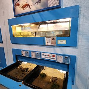 Tidelands Nature Center - Touch tank tubs