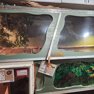 Tidelands Nature Center - Weird exhibit stack