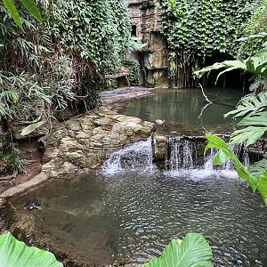 Jungleworld - Indian Gharial Exhibit