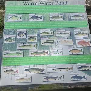 Cold Spring Harbor Fishery & Aquarium - Fishery signage