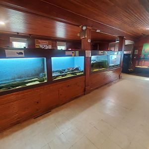 Cold Spring Harbor Fishery & Aquarium - Herp & small fish room view