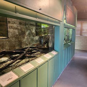 Cold Spring Harbor Fishery & Aquarium - Trout tanks