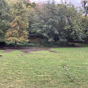 Wild Asia Monorail - Exhibit #1