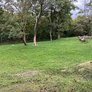 Wild Asia Monorail - Exhibit #1