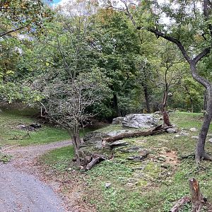 Wild Asia Monorail - Exhibit #1