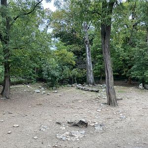 Wild Asia Monorail- Przewalski’s Horse Exhibit