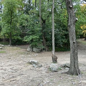 Wild Asia Monorail - Przewalski’s Horse Exhibit