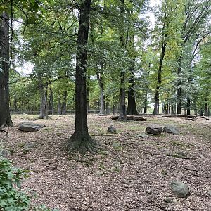 Wild Asia Monorail - Gaur/Eld’s Deer Exhibit