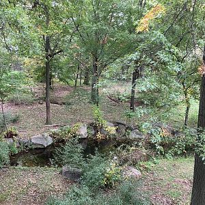 Wild Asia Monorail - Mainland Tiger Exhibit