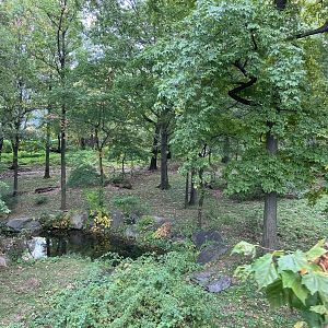 Wild Asia Monorail - Mainland Tiger Exhibit