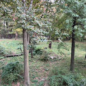 Wild Asia Monorail - Mainland Tiger Exhibit