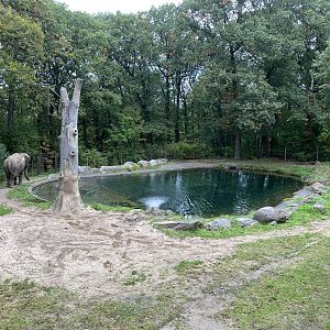 Wild Asia Monorail - Asian Elephant Exhibit