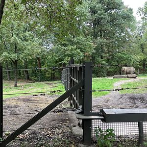 Wild Asia Monorail - Asian Elephant Exhibit