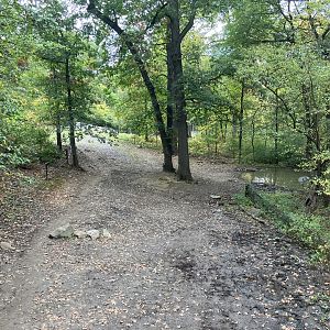 Wild Asia Monorail - Indian Rhinoceros Exhibit