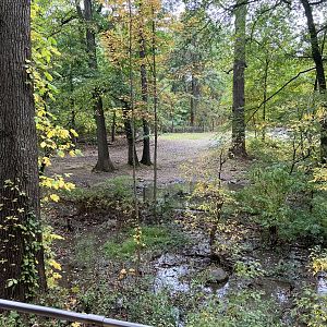 Wild Asia Monorail - Indian Rhinoceros Exhibit