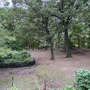 Wild Asia Monorail - Exhibit #8