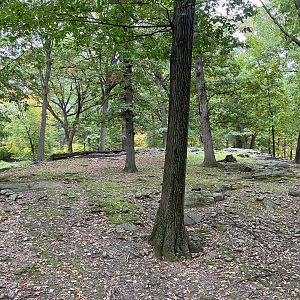 Wild Asia Monorail - Exhibit #8